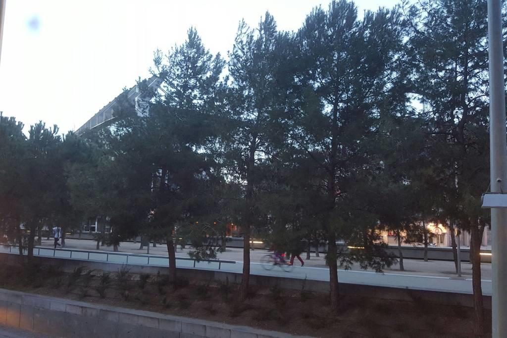 Manzanares